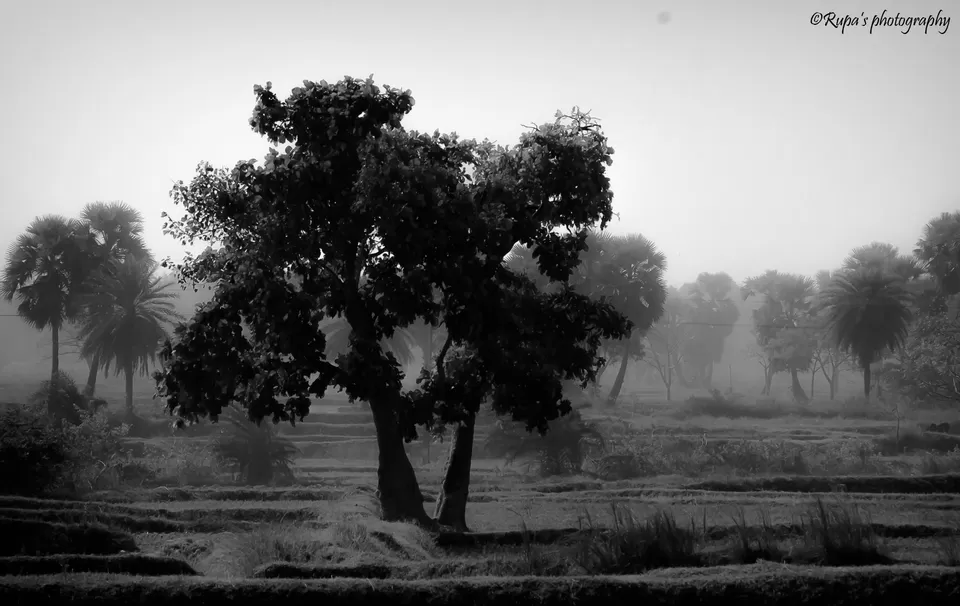 Photo of Shalboni-- A weekend trip in the midst of woods #Garhshalboni by Rupa Datta Majumder