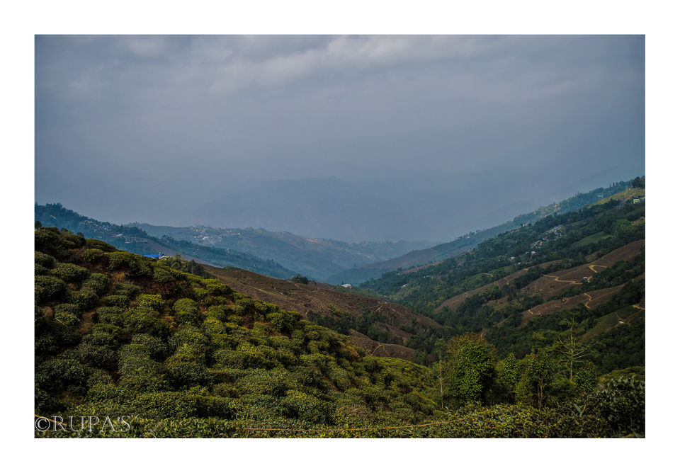 Photo of A name that attracts almost everyone is #Darjeeling by Rupa Majumder
