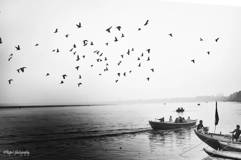 Photo of Sarnath, Varanasi, Uttar Pradesh, India by Rupa Datta Majumder
