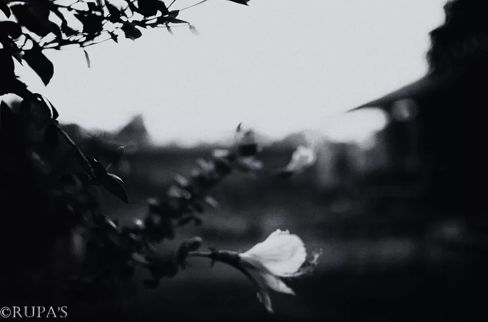 Photo of HANGESHWAR TEMPLE, Hanga, Maharashtra, India by Rupa Datta Majumder
