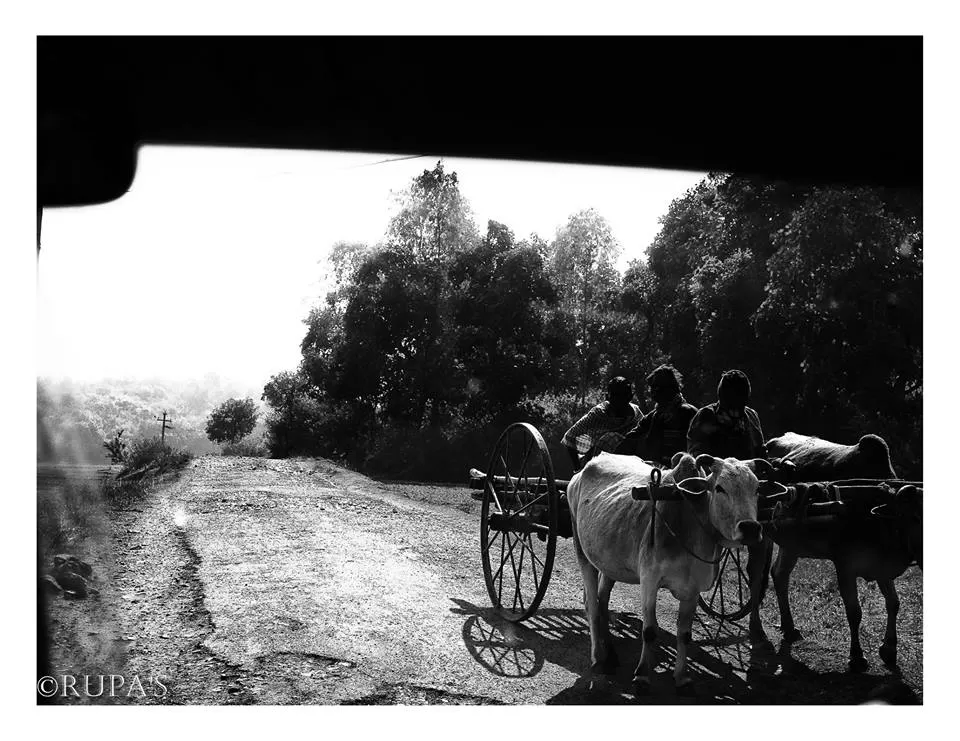 Photo of Mukutmanipur, West Bengal, India by Rupa Datta Majumder