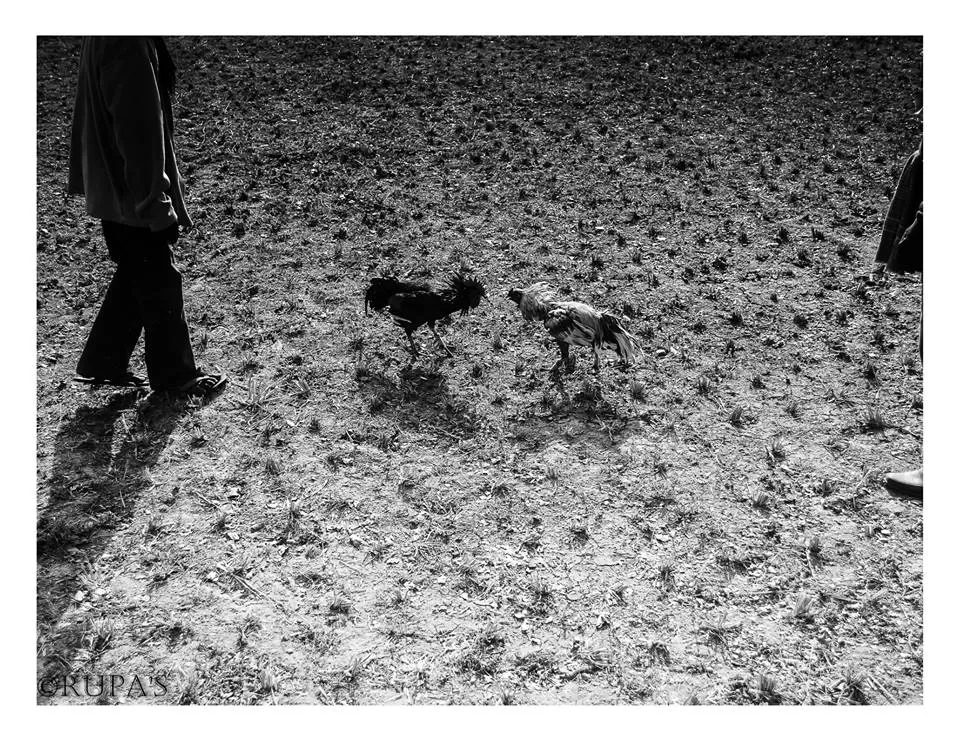 Photo of Mukutmanipur, West Bengal, India by Rupa Datta Majumder