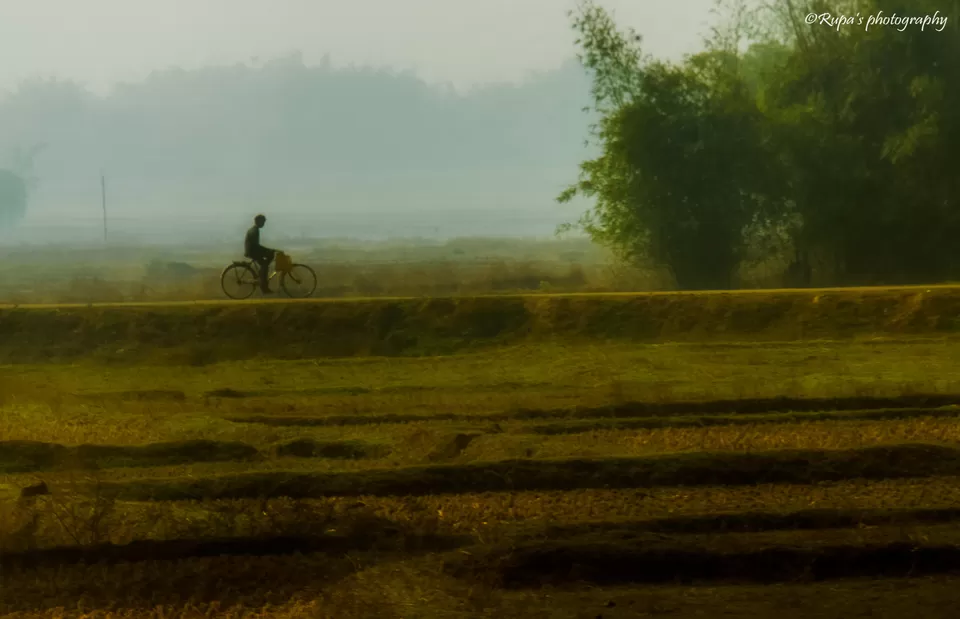 Photo of Salboni, West Bengal, India by Rupa Datta Majumder