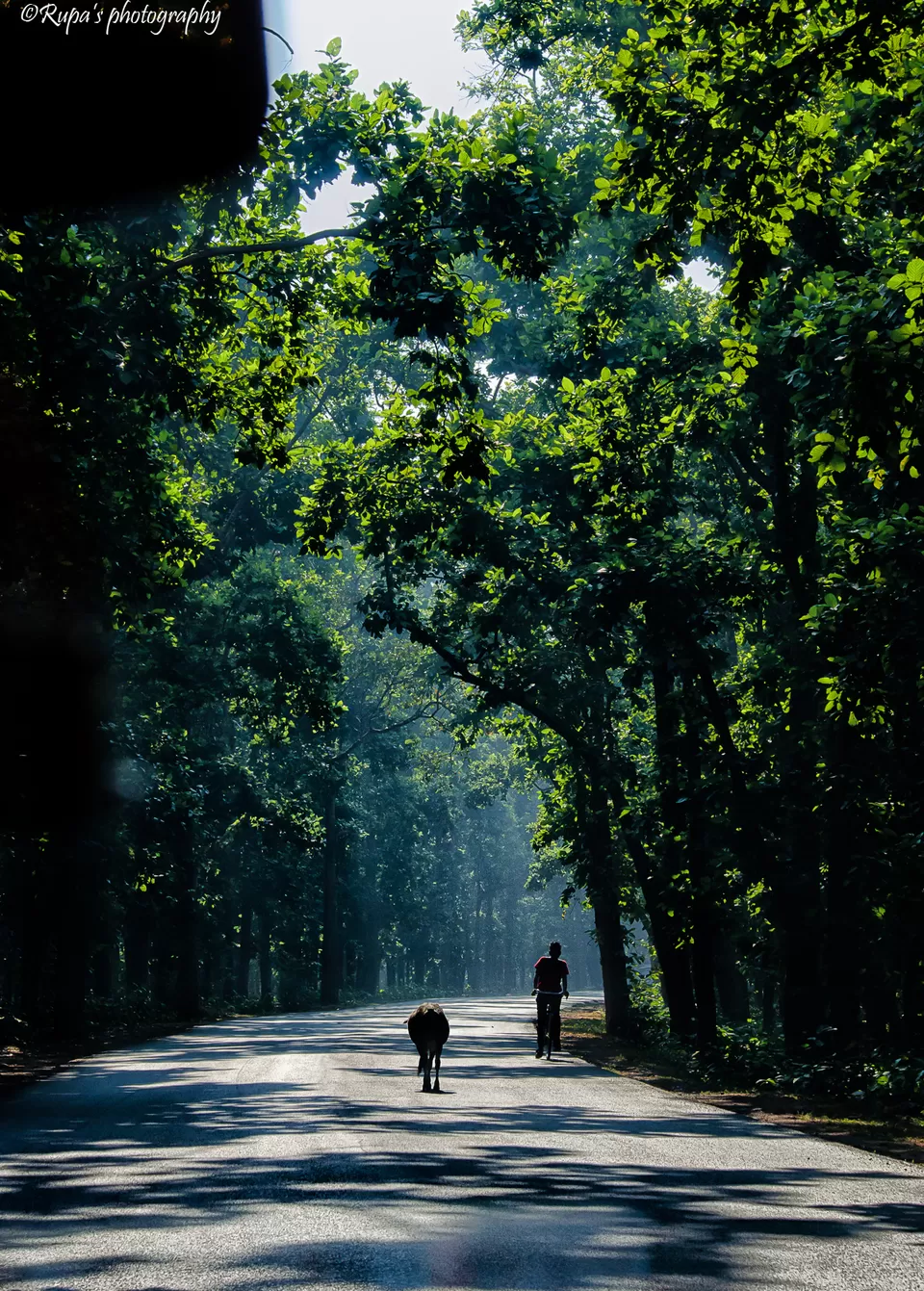 Photo of Salboni, West Bengal, India by Rupa Datta Majumder