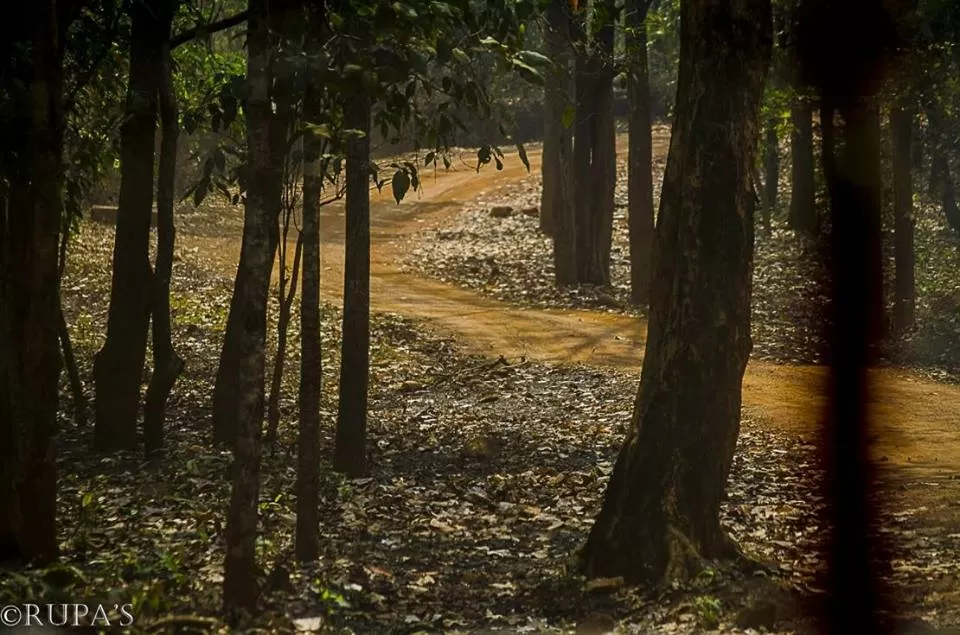 Photo of Bangriposi, Odisha, India by Rupa Datta Majumder