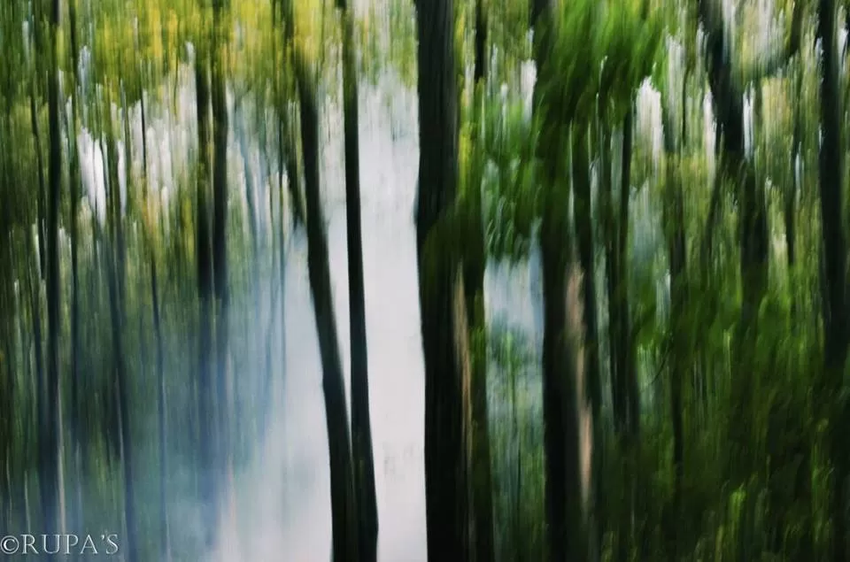 Photo of Bangriposi, Odisha, India by Rupa Datta Majumder