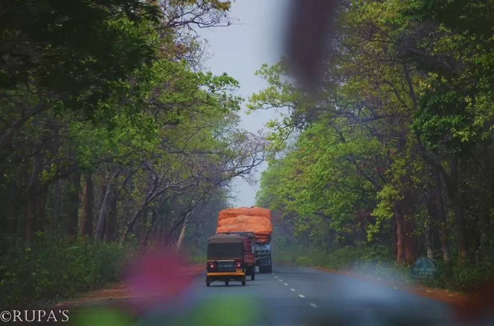 Photo of Bangriposi, Odisha, India by Rupa Datta Majumder