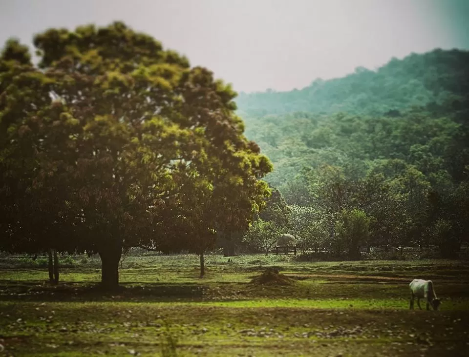 Photo of Bangriposi, Odisha, India by Rupa Datta Majumder