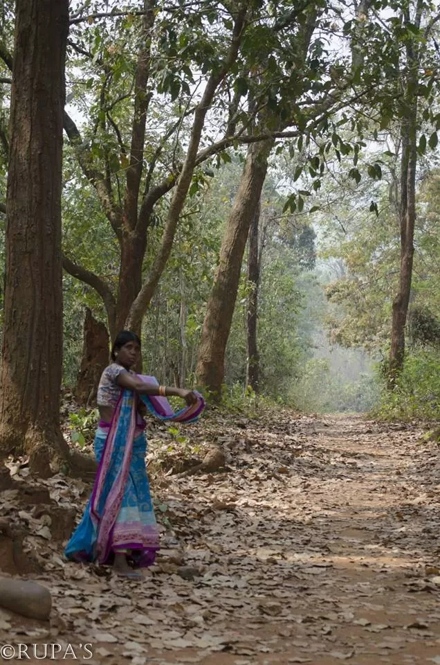 Photo of Bangriposi, Odisha, India by Rupa Datta Majumder