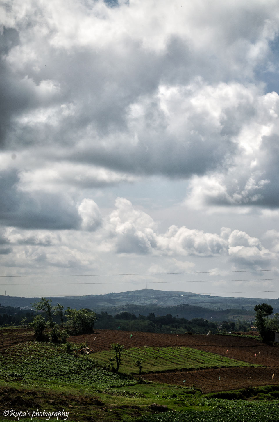 Photo of Shillong, Meghalaya, India by Rupa Majumder