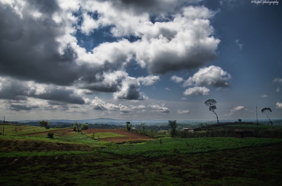 Photo of Shillong, Meghalaya, India by Rupa Majumder