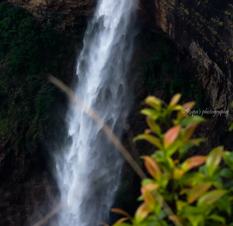 Photo of NohKaLikai Falls, Meghalaya by Rupa Datta Majumder