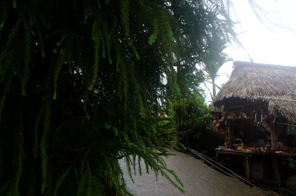 Photo of Mawlynnong, Meghalaya, India by Rupa Datta Majumder