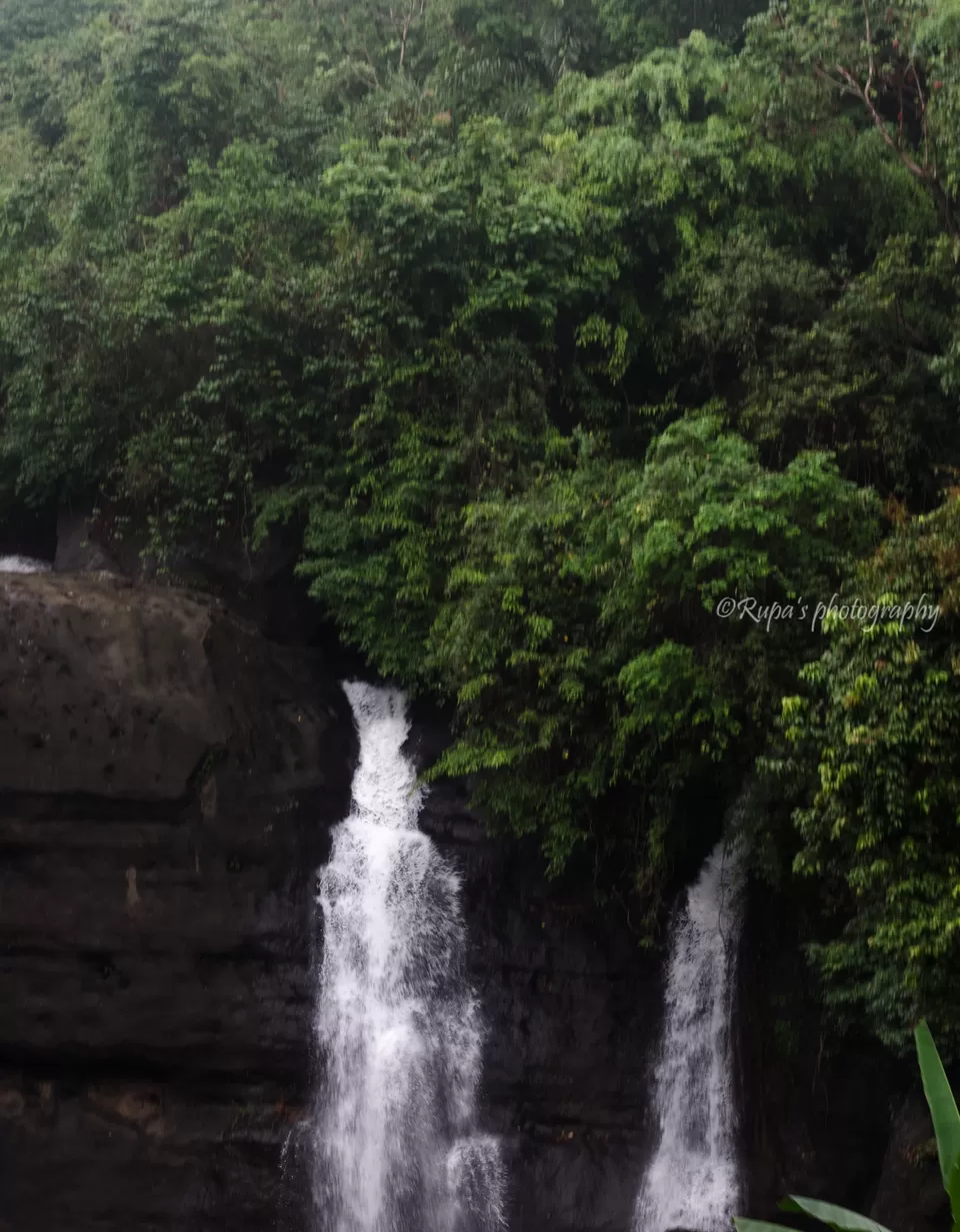 Photo of Mawlynnong, Meghalaya, India by Rupa Datta Majumder