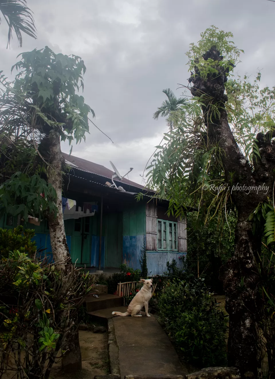 Photo of Mawlynnong, Meghalaya, India by Rupa Datta Majumder