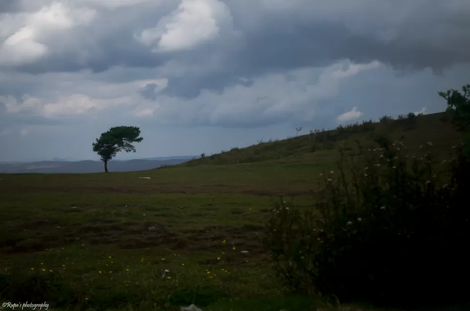 Photo of Shillong, Meghalaya, India by Rupa Datta Majumder