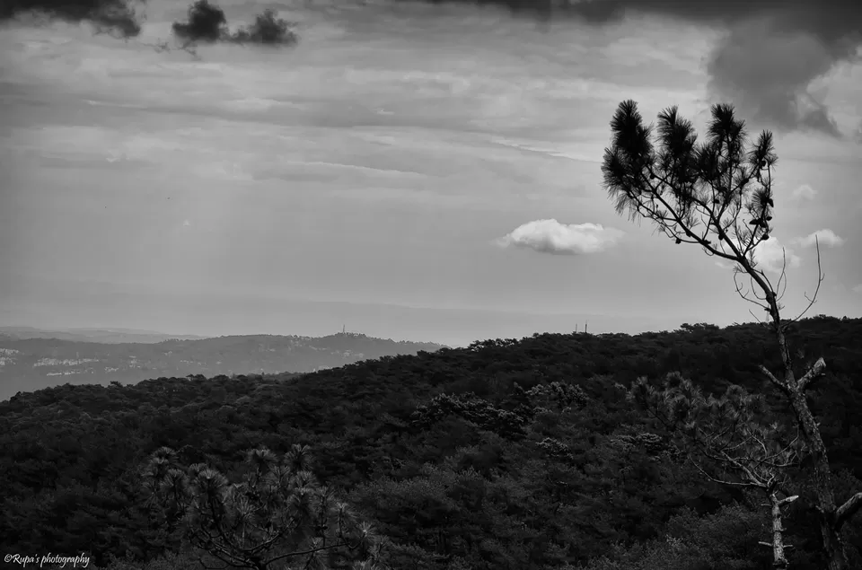 Photo of Shillong, Meghalaya, India by Rupa Datta Majumder