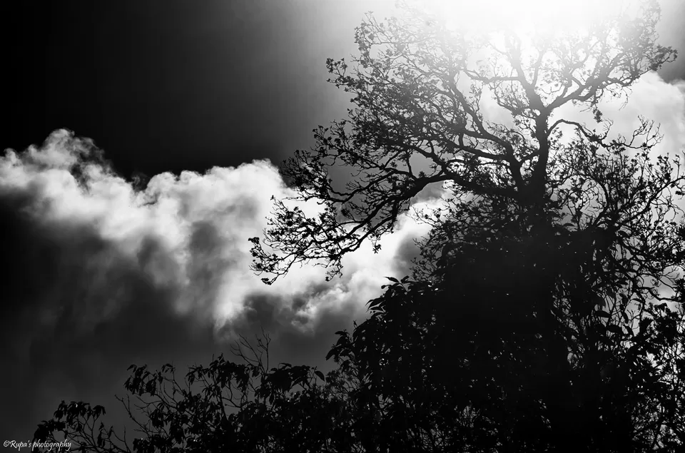 Photo of Umiam Lake, Meghalaya by Rupa Datta Majumder