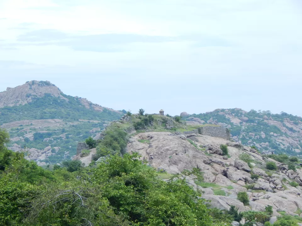Photo of full off rocky by Nandan Priyadarshi