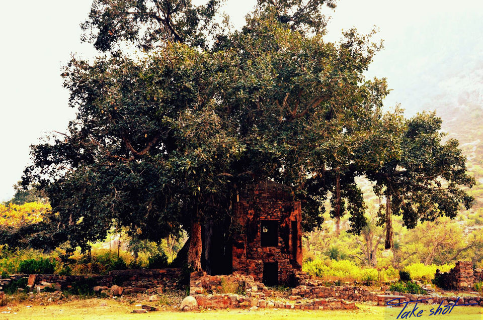 Photo of Drive to Bhangarh – A story with ghosts 3/9 by Nandan Priyadarshi