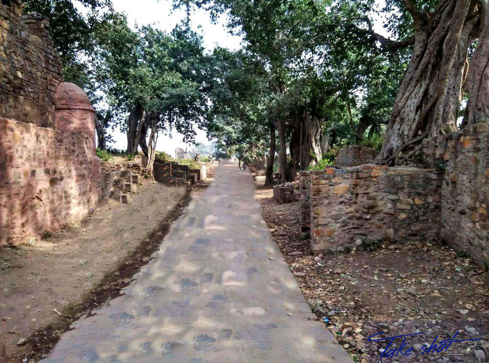 Photo of Drive to Bhangarh – A story with ghosts 9/9 by Nandan Priyadarshi