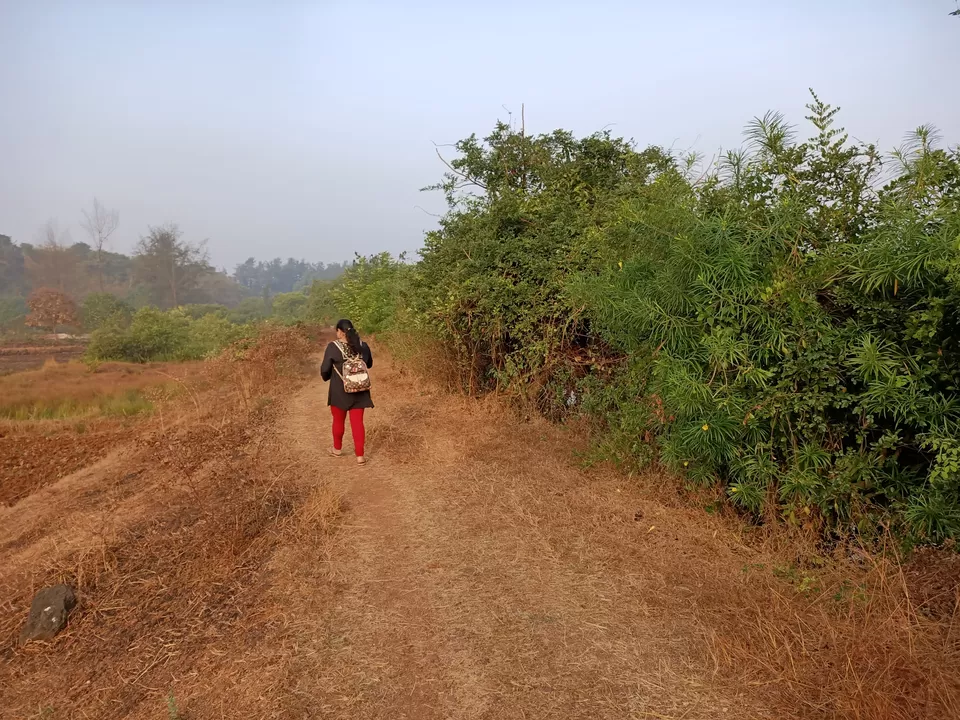 Photo of Velas Beach - वेळास समुद्र किनारा ®, Ratnagiri, Maharashtra, India by Rama Kant Gupta