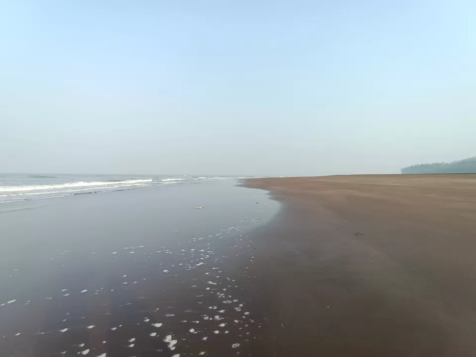 Photo of Velas Beach - वेळास समुद्र किनारा ®, Ratnagiri, Maharashtra, India by Rama Kant Gupta