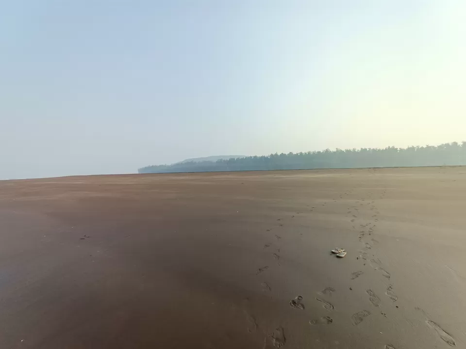 Photo of Velas Beach - वेळास समुद्र किनारा ®, Ratnagiri, Maharashtra, India by Rama Kant Gupta
