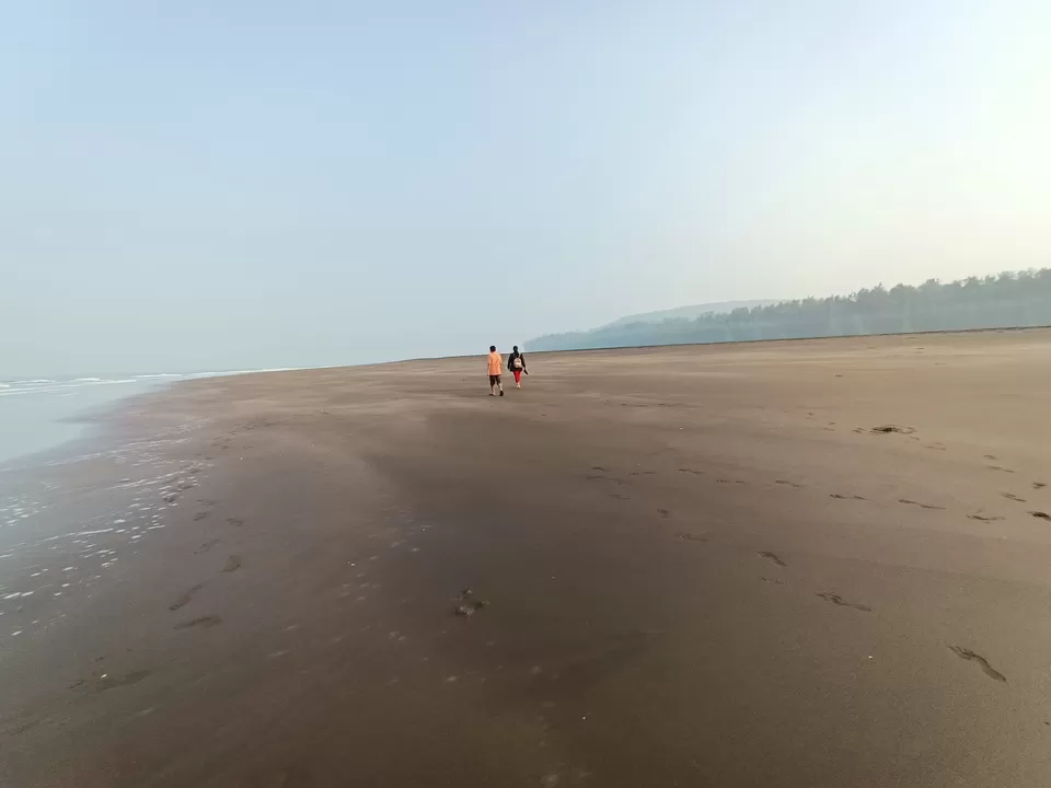 Photo of Velas Beach - वेळास समुद्र किनारा ®, Ratnagiri, Maharashtra, India by Rama Kant Gupta