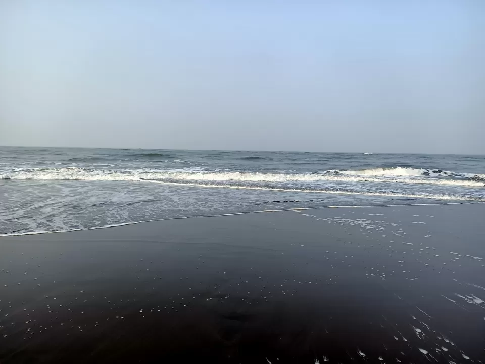 Photo of Velas Beach - वेळास समुद्र किनारा ®, Ratnagiri, Maharashtra, India by Rama Kant Gupta