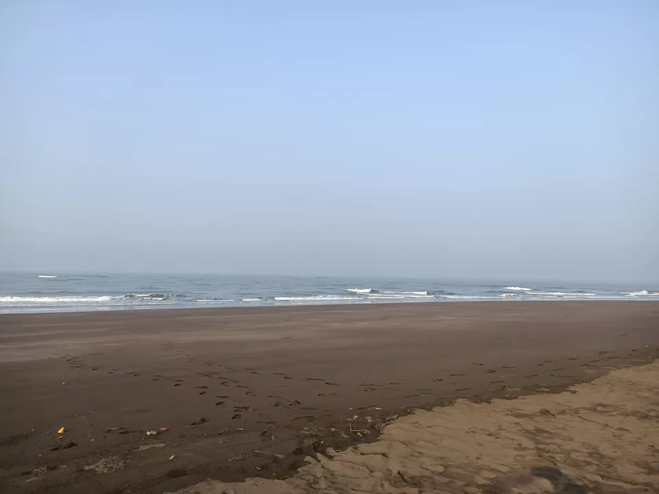 Photo of Velas Beach - वेळास समुद्र किनारा ®, Ratnagiri, Maharashtra, India by Rama Kant Gupta