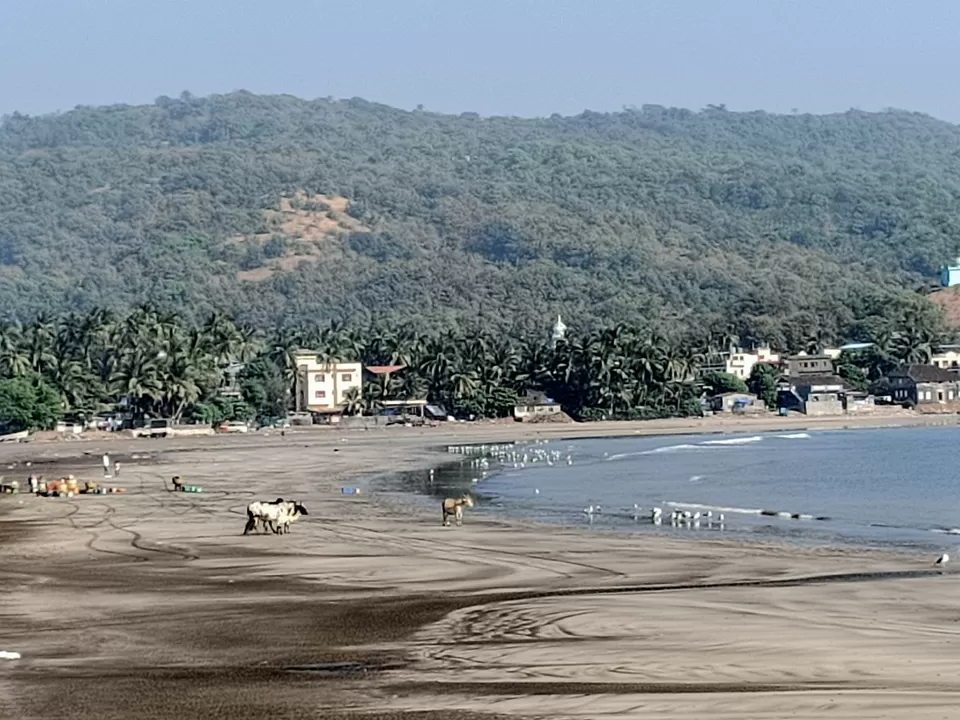 Photo of Harnai Beach, Maharashtra by Rama Kant Gupta