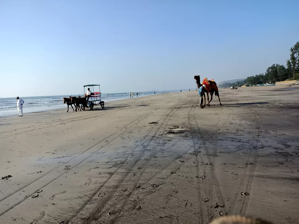 Photo of Murud Beach, Murud, Maharashtra by Rama Kant Gupta