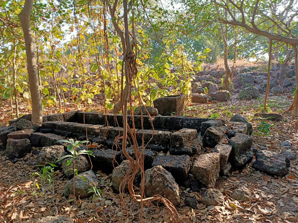 Photo of Shri Aarya Durga Mandir Devihasol, Devi Hasol Road, Dist, Devihasol, Maharashtra, India by Rama Kant Gupta