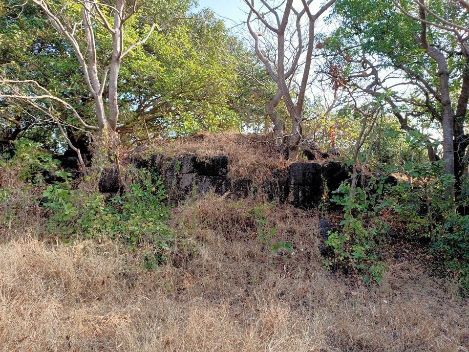 Photo of Shri Aarya Durga Mandir Devihasol, Devi Hasol Road, Dist, Devihasol, Maharashtra, India by Rama Kant Gupta
