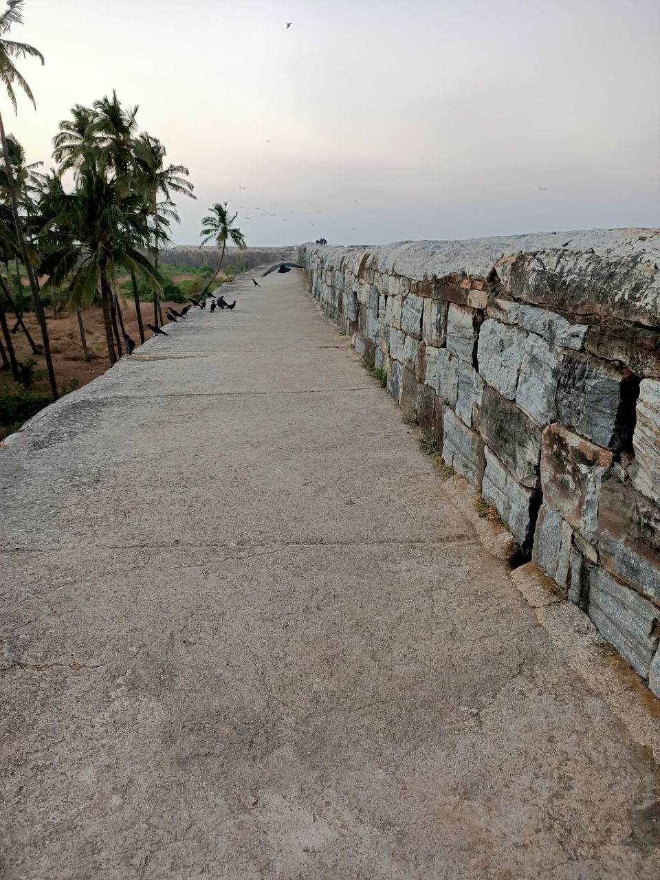 Photo of Tsunami Island, Maharashtra by Rama Kant Gupta