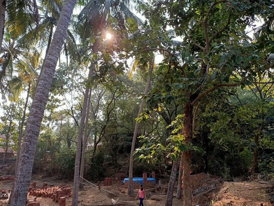 Photo of Sarjekot Fort, Sarjekot, Malvan, Maharashtra, India by Rama Kant Gupta