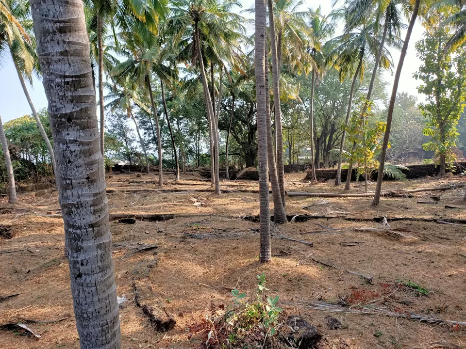 Photo of Sarjekot Fort, Sarjekot, Malvan, Maharashtra, India by Rama Kant Gupta