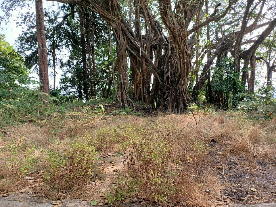 Photo of Konkan Trip for unexplored beaches, historical forts and water sports, with scuba diving by Rama Kant Gupta