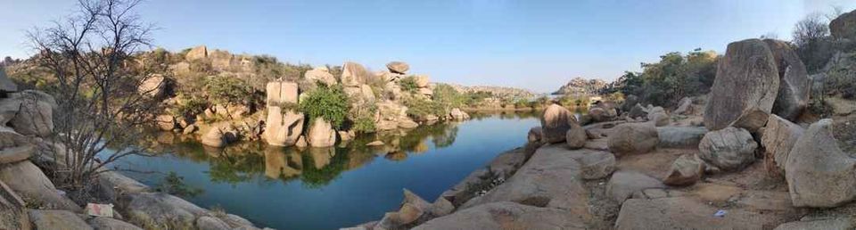 Photo of The jungle tree, Hampi, Karnataka, India by Gayatri Mishra (@travelwithsassygirl)