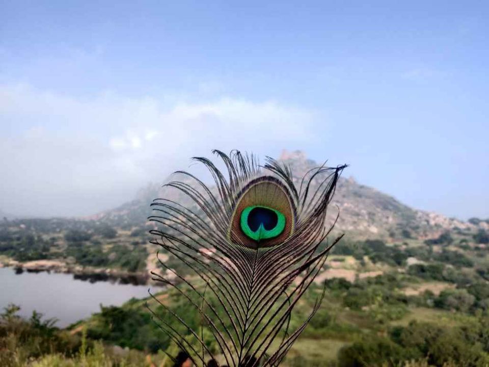 Photo of Gift yourself a trip- Travel with A Solo Women Traveler Club in India by Gayatri Mishra (@travelwithsassygirl)