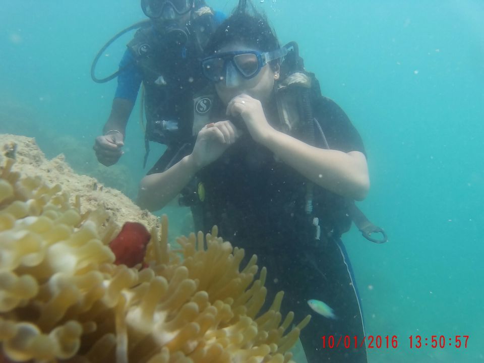 Photo of Breathing with the Fishes.Scuba-diving #TravelAdventure2019 #IslandLife by Gayatri Mishra (@travelwithsassygirl)
