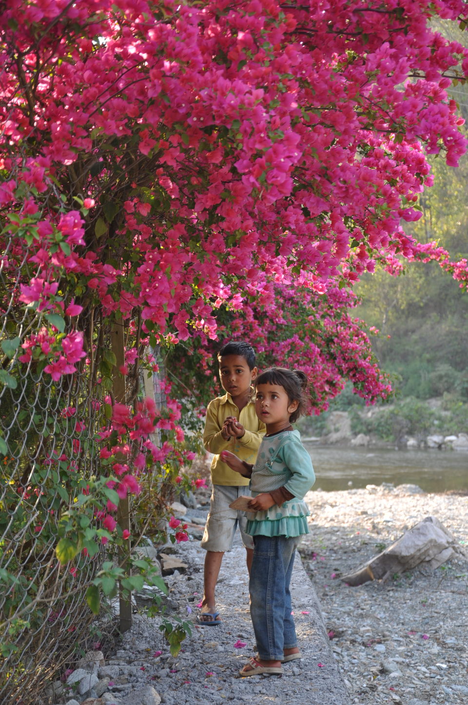 Photo of First solo trip: Rishikesh 4/20 by Anjali Rawat