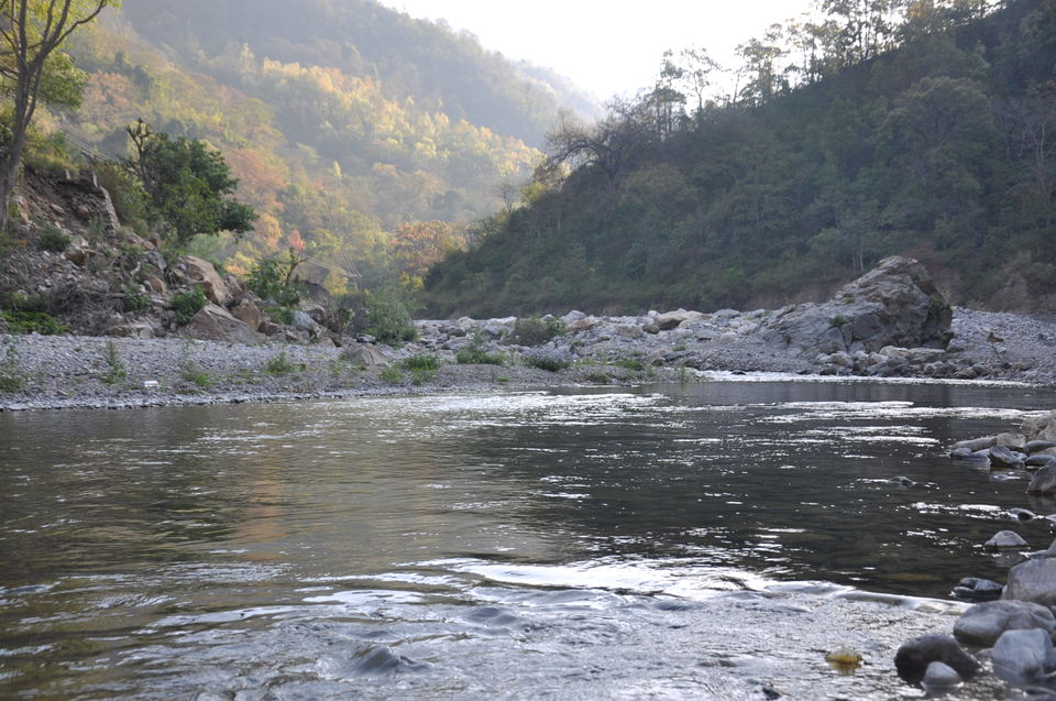 Photo of First solo trip: Rishikesh 6/20 by Anjali Rawat