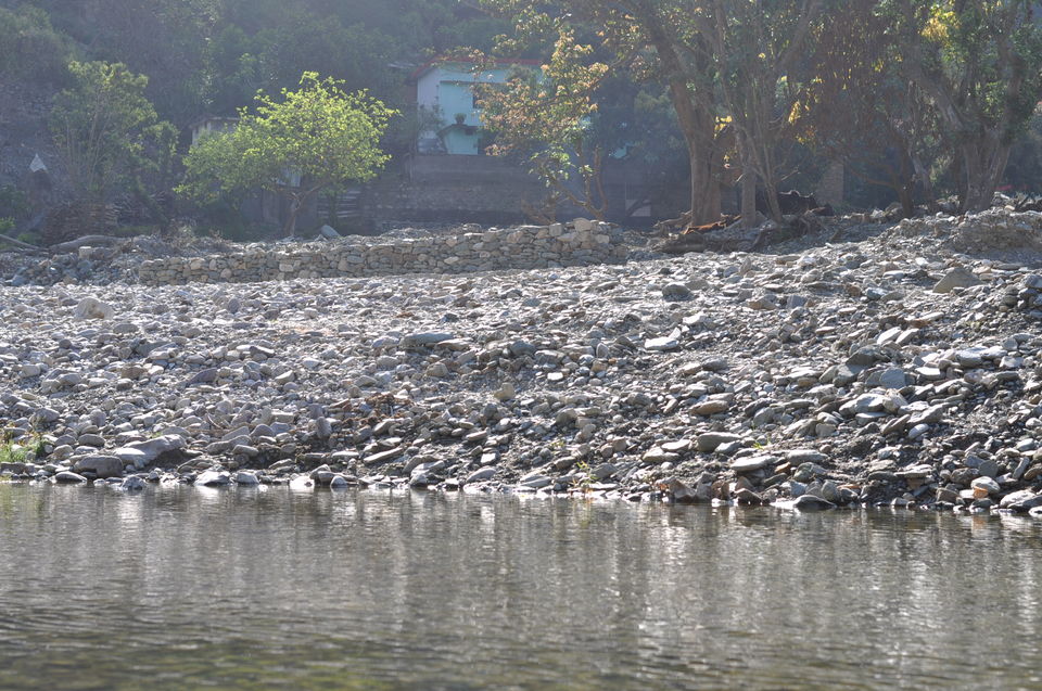 Photo of First solo trip: Rishikesh 10/20 by Anjali Rawat