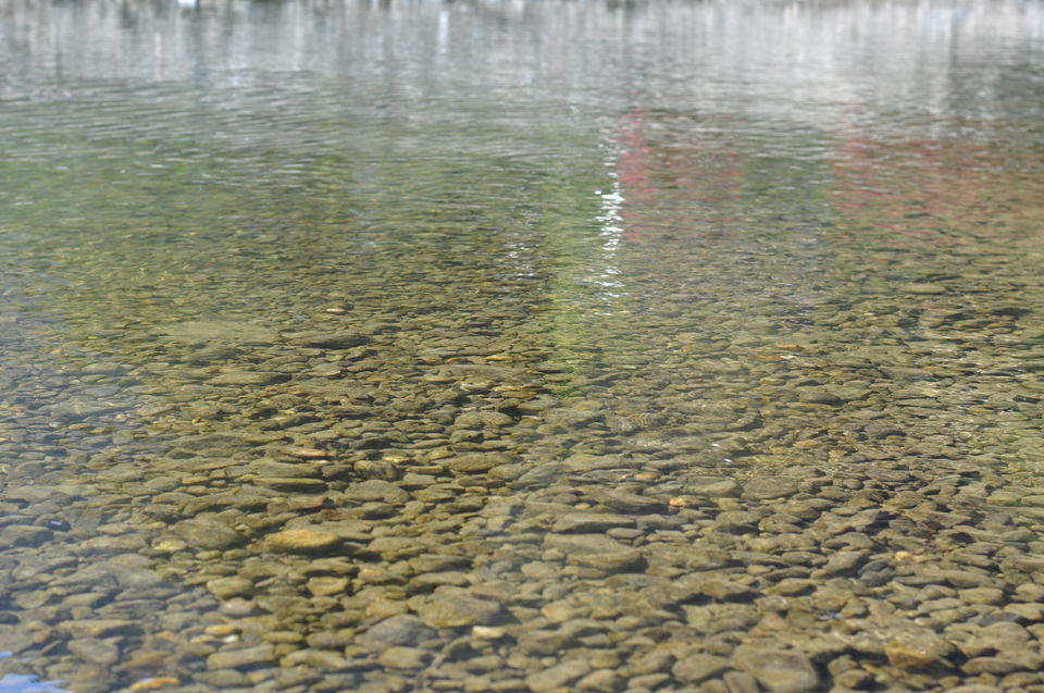 Photo of First solo trip: Rishikesh 11/20 by Anjali Rawat