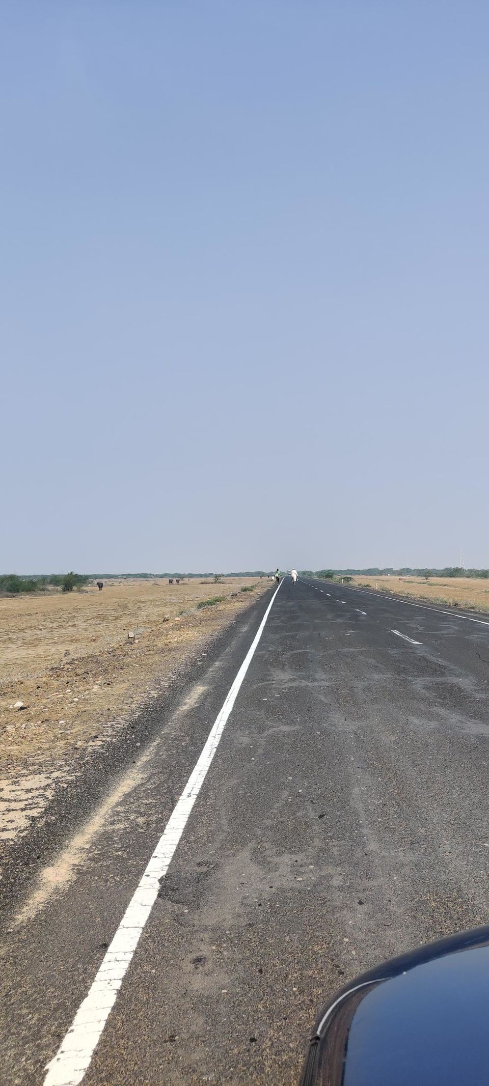 Photo of Gujarat: Rann of Kutch. (The White Dessert) by Antara in New Zealand