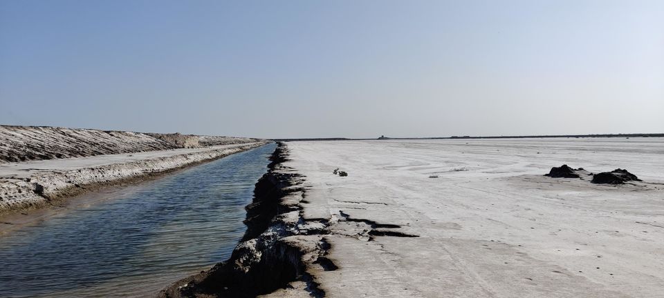 Photo of Gujarat: Rann of Kutch. (The White Dessert) by Antara in New Zealand