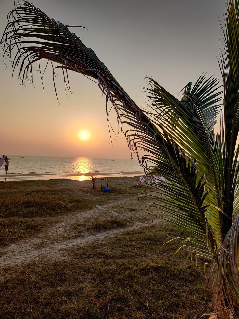 Photo of Serena Beach Resort Mandvi, Mandvi, Gujarat, India by Antara in New Zealand
