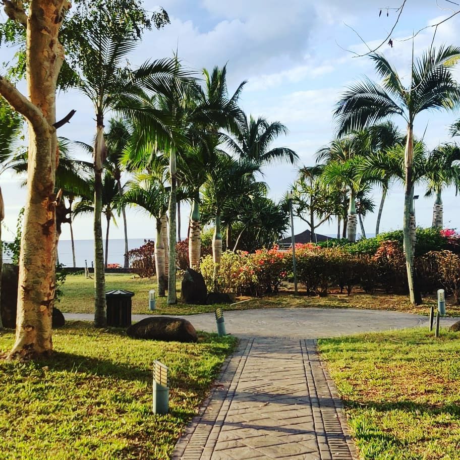 Photo of Mauritius by Sarosh Khan Rebs
